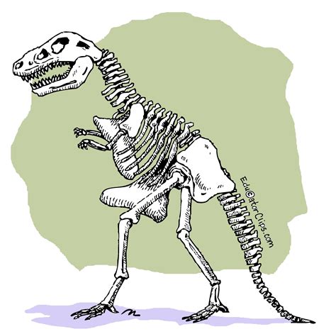 dinosaur skeleton clip art.